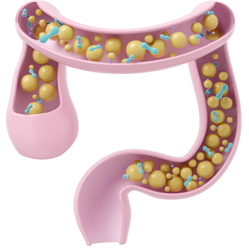 ťi - 2025-10-20T134308.577
